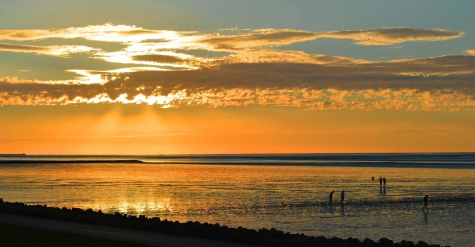 The Wadden Sea - Information about the Wadden Sea National Park (UNESCO World Heritage Site) 2 Sunset on the tidal flats of the North Sea