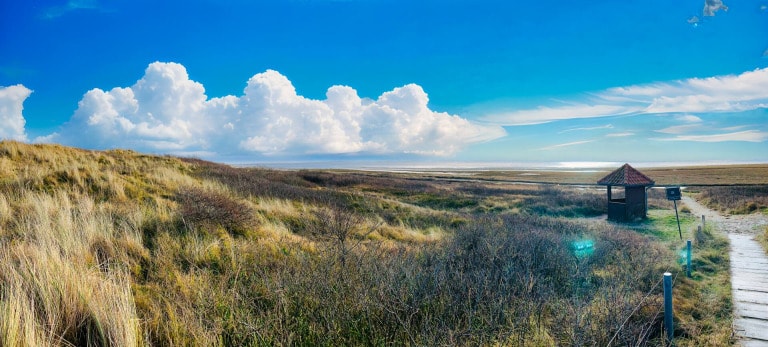 How much does a flight from Harlesiel to Wangerooge cost ?