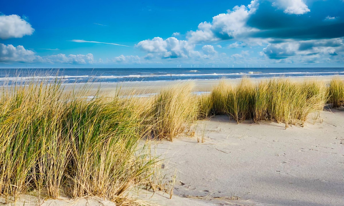 Wangerooge: TOP 14 Lugares de interés y actividades para tus vacaciones 4 Playa en Wangerooge