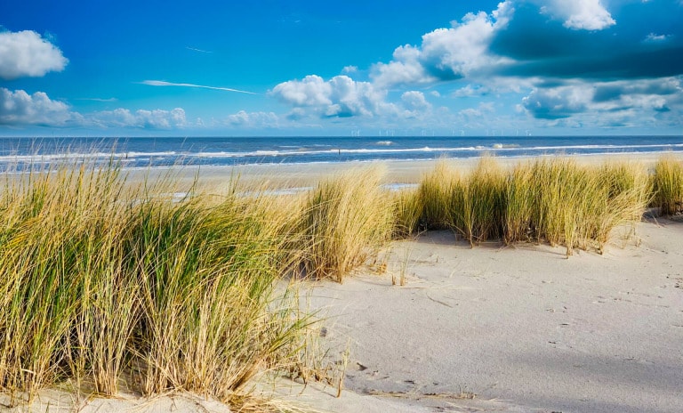 How big is Wangerooge ?