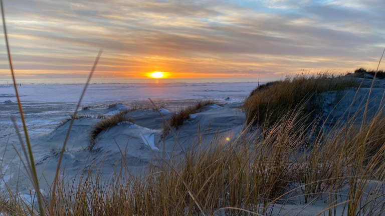 How to get from Sylt to Amrum?