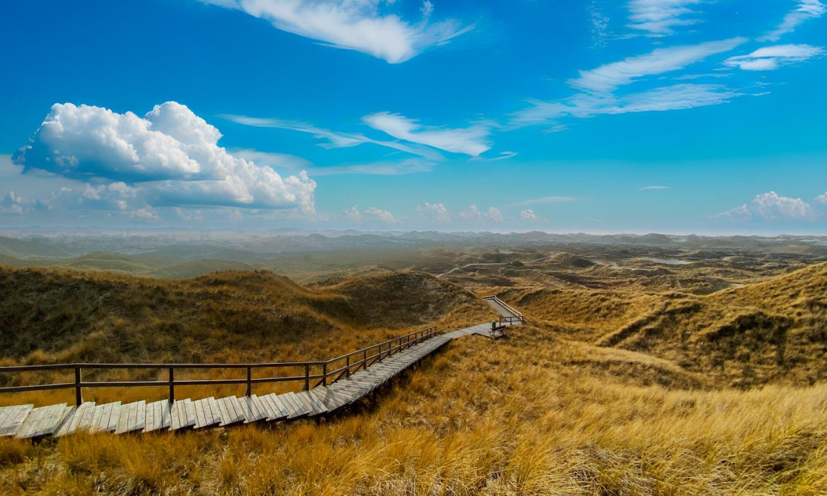 North Frisian Islands - TOP 6 for vacation + Halligen 8 Amrum beach path through dune landscape