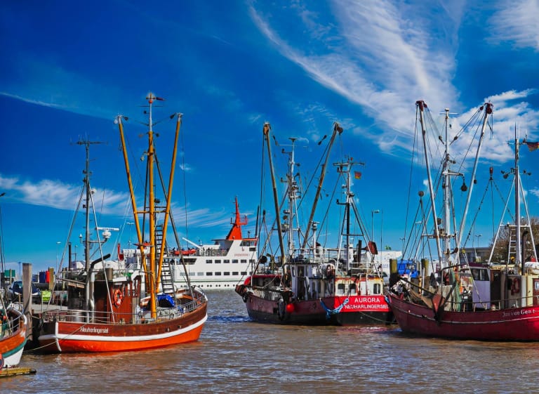 Where is Spiekeroog ?