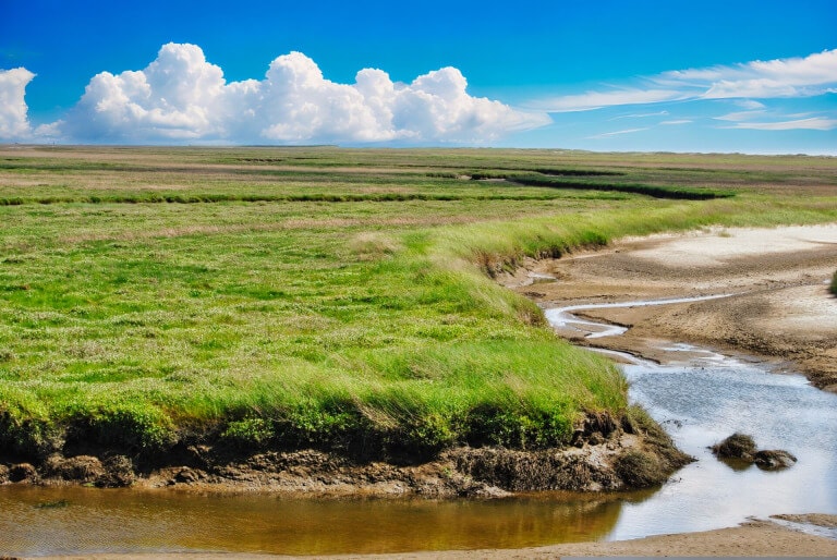 Hallig Südfall - Une expérience de vacances unique