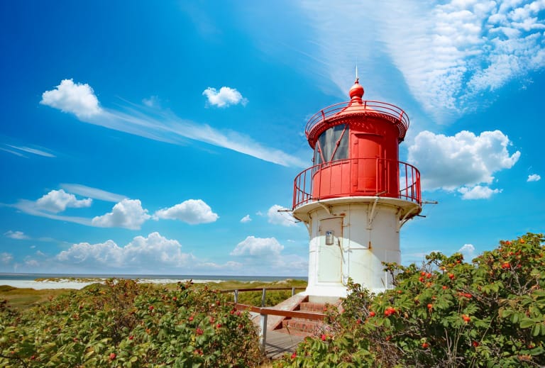 What can you do on Amrum ?