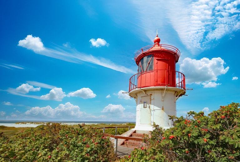 What can you do on Amrum ?