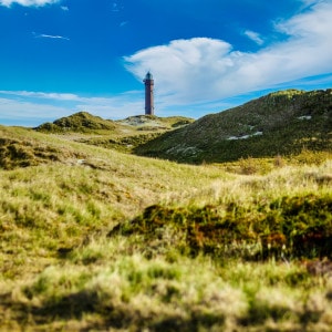 Norderney dune landscape with lighthouse
