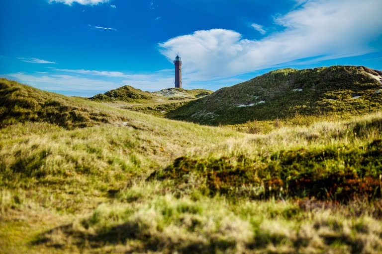 Norderney dune landscape with lighthouse