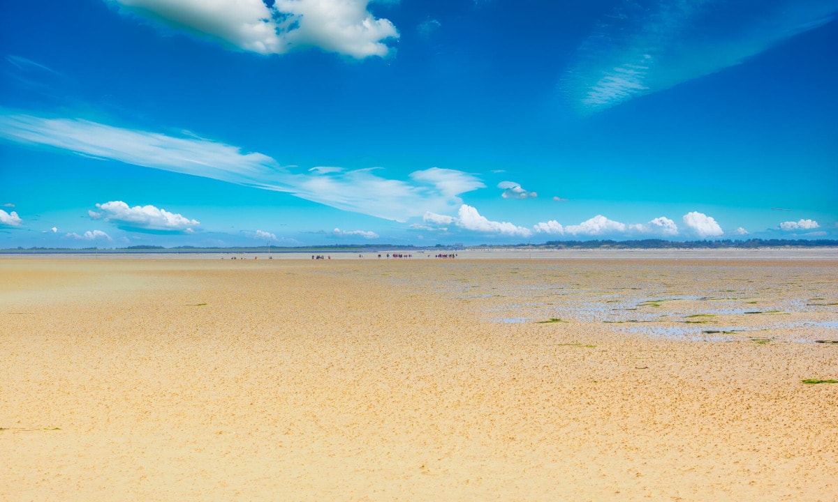 Playas del Mar del Norte - Las 15 más bonitas para unas vacaciones en la playa 9 Mar de Wadden en la isla de Amrum del Mar del Norte