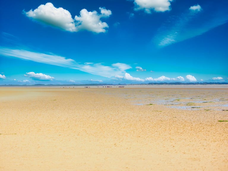 How to get to Amrum ?