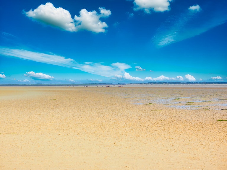 How to get to Amrum ?