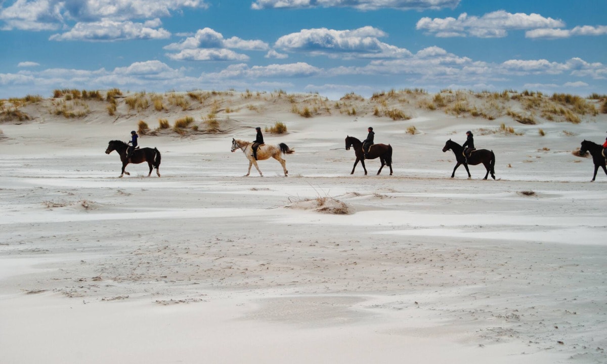 Ostfriesische Inseln 19 Pferde reiten auf der Nordseeinsel Spiekeroog