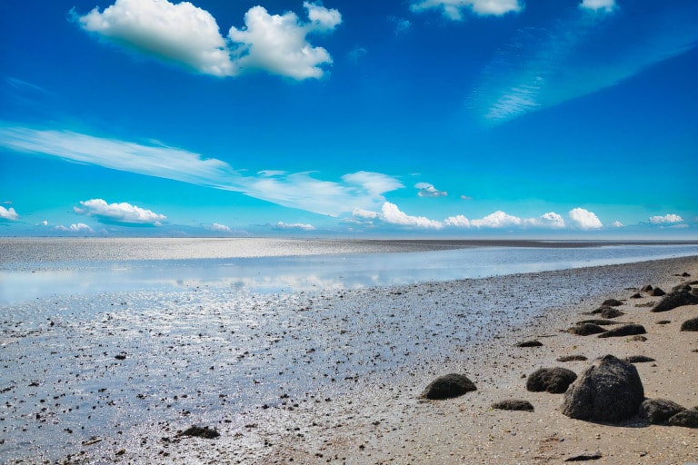 ¿Cuánto cuesta el ferry a Pellworm en coche?