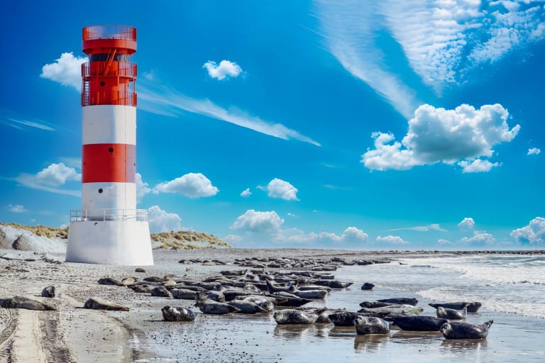 Heligoland day trip: Is a day trip worth it?