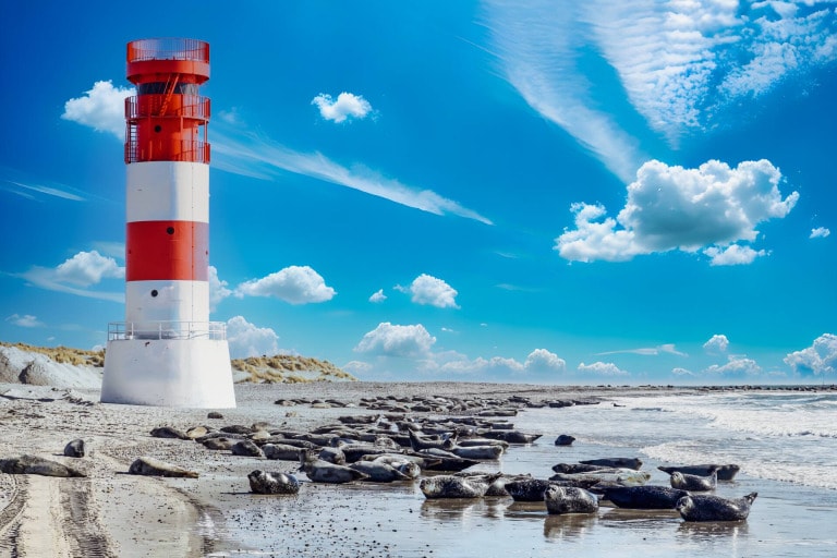 Helgoland Tagesausflug: Lohnt sich eine Tagesfahrt?