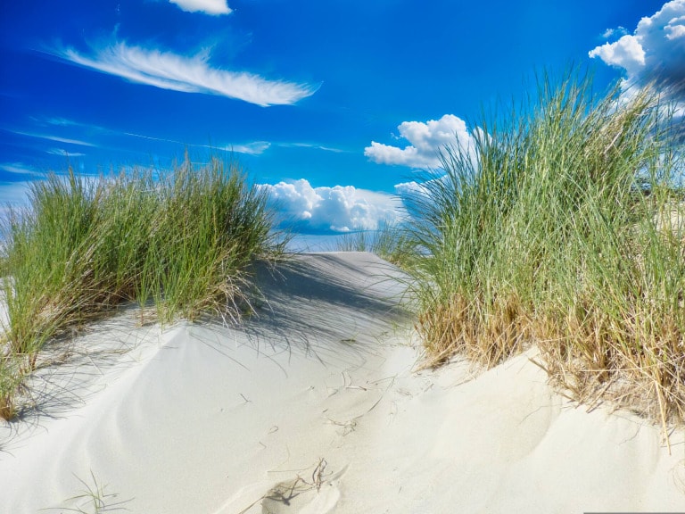 Sand dune on Borkum