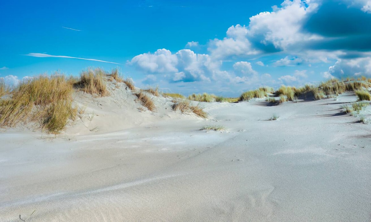 Sand dune on Spiekeroog