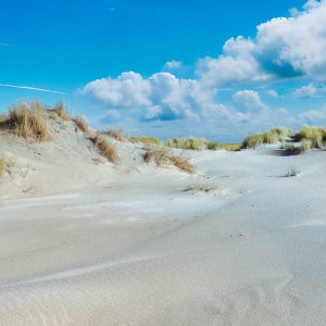 Sand dune on Spiekeroog