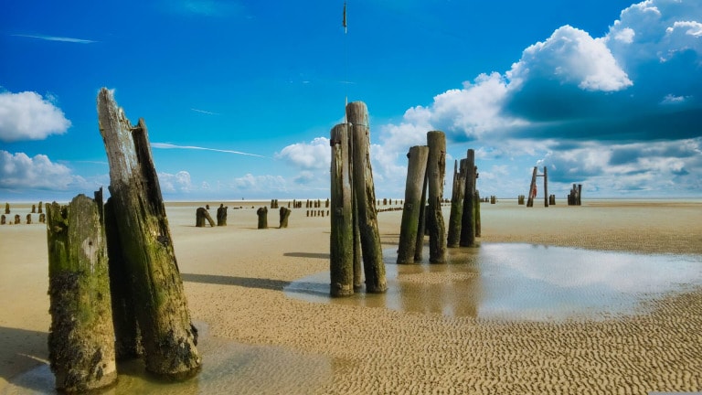 La mer des Wadden - informations sur le parc national de la mer des Wadden (patrimoine mondial de l'UNESCO)