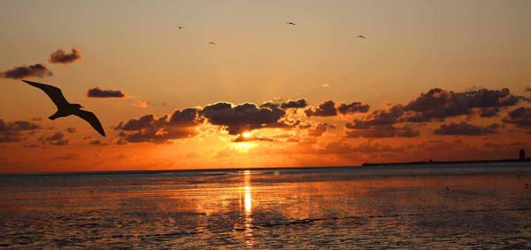 Norderney Wadden Sea