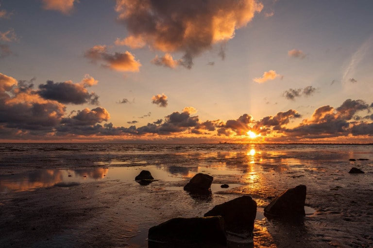 Neuharlingersiel: A coastal paradise for the perfect summer vacation